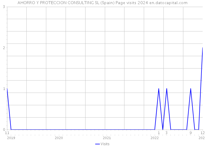 AHORRO Y PROTECCION CONSULTING SL (Spain) Page visits 2024 
