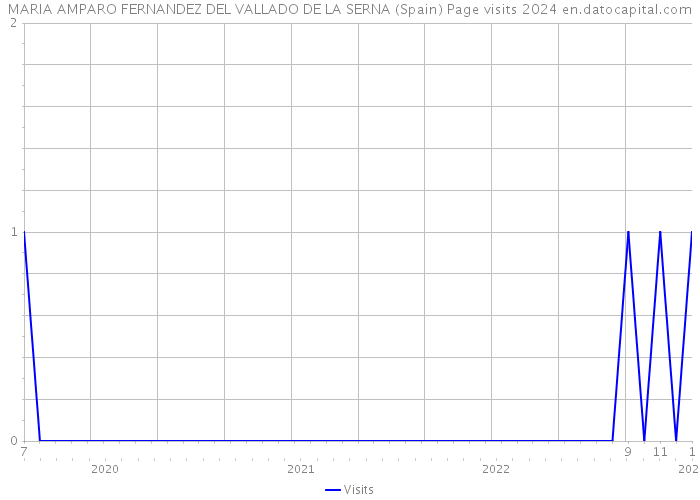MARIA AMPARO FERNANDEZ DEL VALLADO DE LA SERNA (Spain) Page visits 2024 