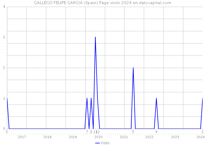 GALLEGO FELIPE GARCIA (Spain) Page visits 2024 