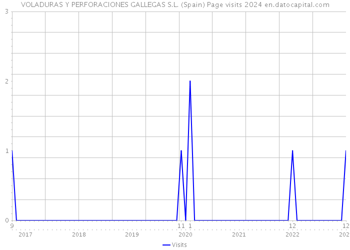 VOLADURAS Y PERFORACIONES GALLEGAS S.L. (Spain) Page visits 2024 