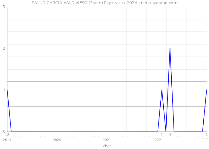 SALUD GARCIA VALDIVIESO (Spain) Page visits 2024 