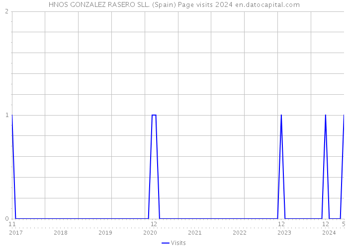 HNOS GONZALEZ RASERO SLL. (Spain) Page visits 2024 
