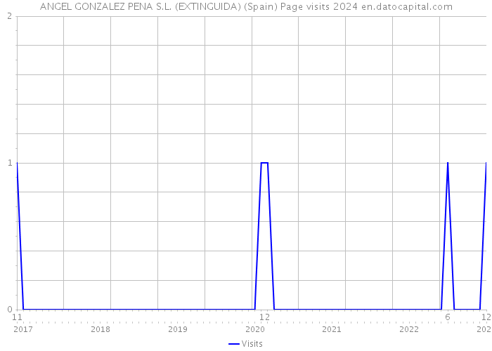 ANGEL GONZALEZ PENA S.L. (EXTINGUIDA) (Spain) Page visits 2024 