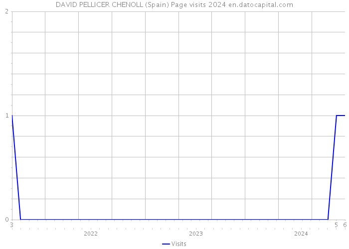 DAVID PELLICER CHENOLL (Spain) Page visits 2024 