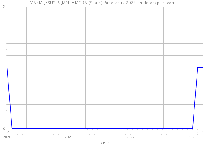 MARIA JESUS PUJANTE MORA (Spain) Page visits 2024 