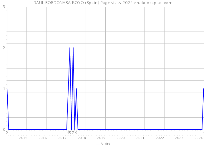 RAUL BORDONABA ROYO (Spain) Page visits 2024 