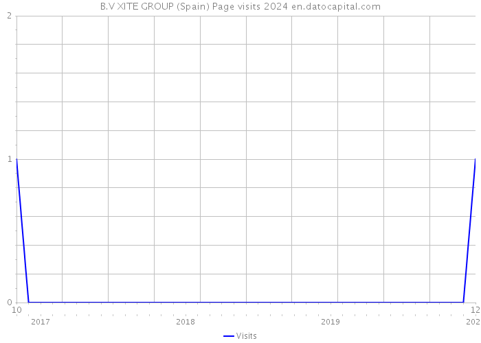 B.V XITE GROUP (Spain) Page visits 2024 