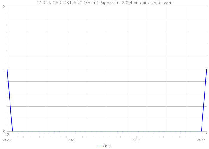 CORNA CARLOS LIAÑO (Spain) Page visits 2024 