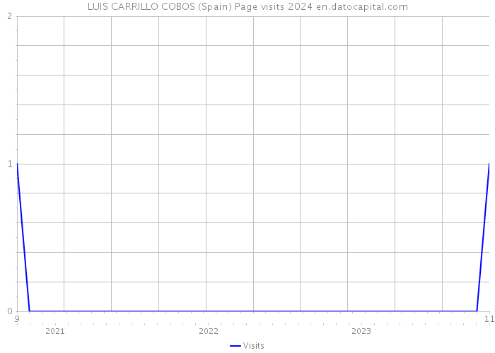 LUIS CARRILLO COBOS (Spain) Page visits 2024 