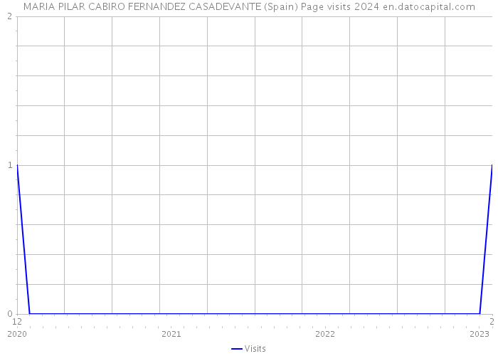 MARIA PILAR CABIRO FERNANDEZ CASADEVANTE (Spain) Page visits 2024 