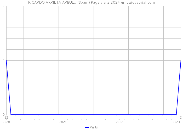 RICARDO ARRIETA ARBULU (Spain) Page visits 2024 