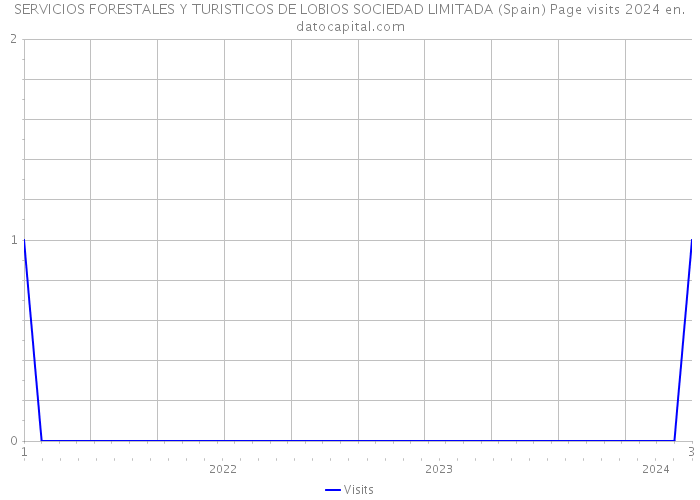 SERVICIOS FORESTALES Y TURISTICOS DE LOBIOS SOCIEDAD LIMITADA (Spain) Page visits 2024 