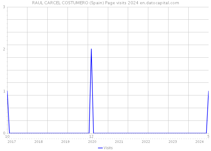 RAUL CARCEL COSTUMERO (Spain) Page visits 2024 