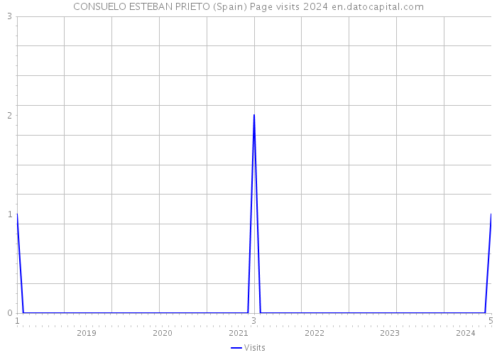 CONSUELO ESTEBAN PRIETO (Spain) Page visits 2024 