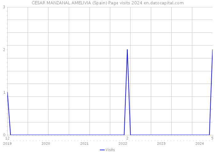 CESAR MANZANAL AMELIVIA (Spain) Page visits 2024 