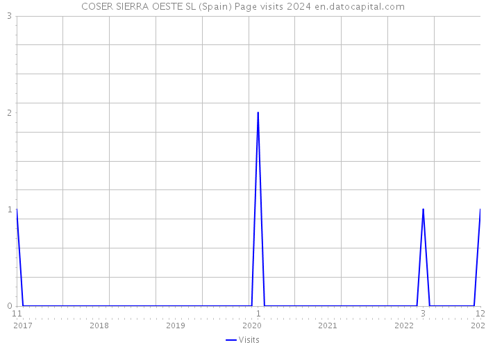 COSER SIERRA OESTE SL (Spain) Page visits 2024 