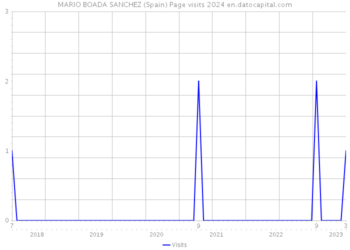 MARIO BOADA SANCHEZ (Spain) Page visits 2024 