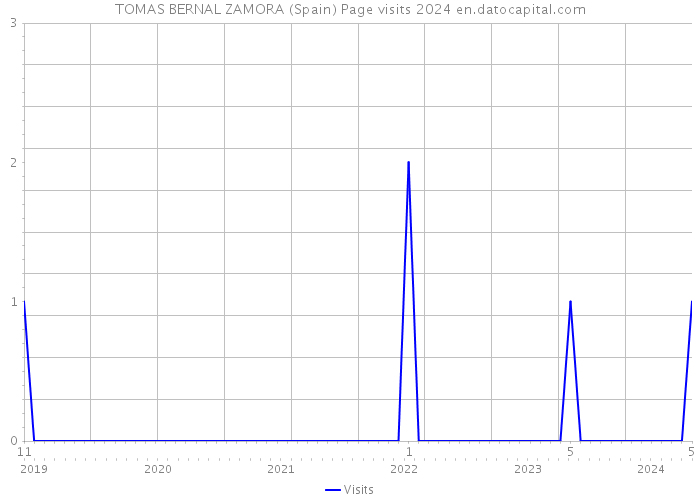 TOMAS BERNAL ZAMORA (Spain) Page visits 2024 
