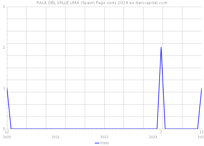 RAUL DEL VALLE LIMA (Spain) Page visits 2024 