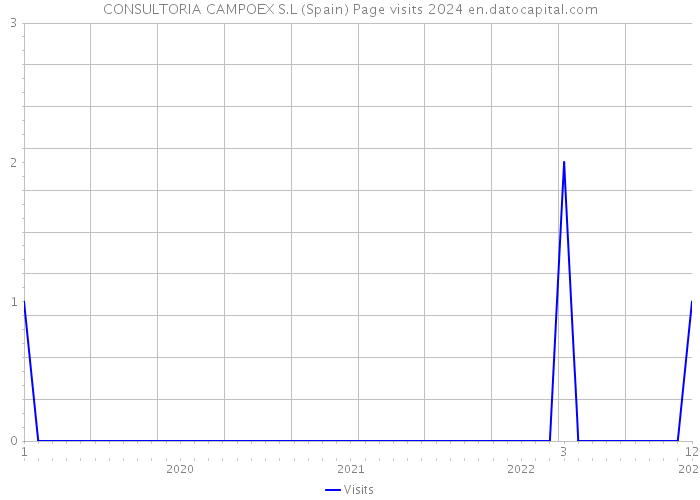 CONSULTORIA CAMPOEX S.L (Spain) Page visits 2024 
