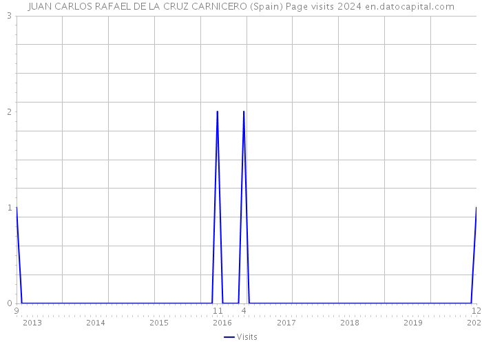 JUAN CARLOS RAFAEL DE LA CRUZ CARNICERO (Spain) Page visits 2024 