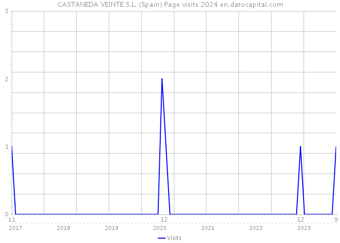 CASTANEDA VEINTE S.L. (Spain) Page visits 2024 