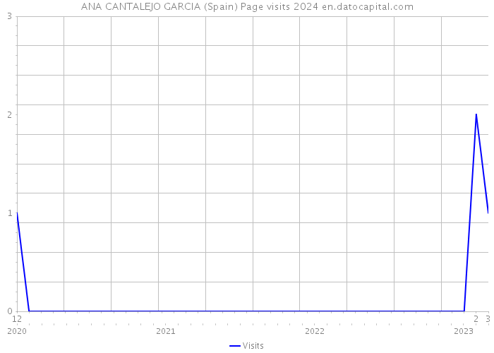 ANA CANTALEJO GARCIA (Spain) Page visits 2024 