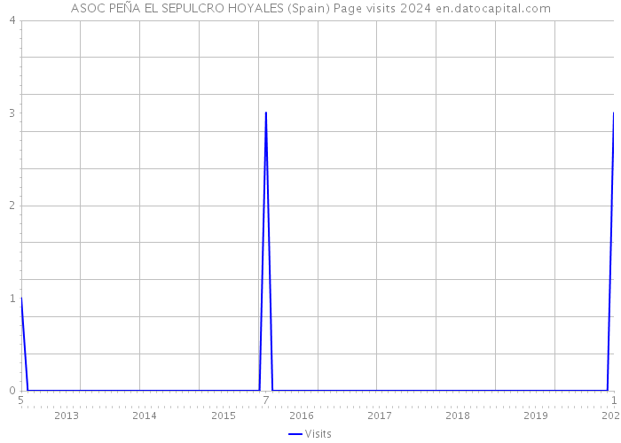 ASOC PEÑA EL SEPULCRO HOYALES (Spain) Page visits 2024 