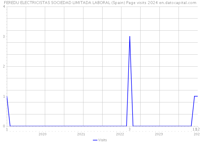FEREDU ELECTRICISTAS SOCIEDAD LIMITADA LABORAL (Spain) Page visits 2024 