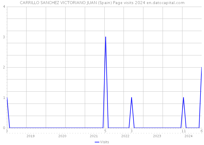 CARRILLO SANCHEZ VICTORIANO JUAN (Spain) Page visits 2024 