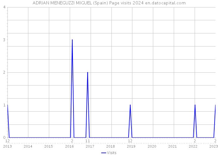 ADRIAN MENEGUZZI MIGUEL (Spain) Page visits 2024 