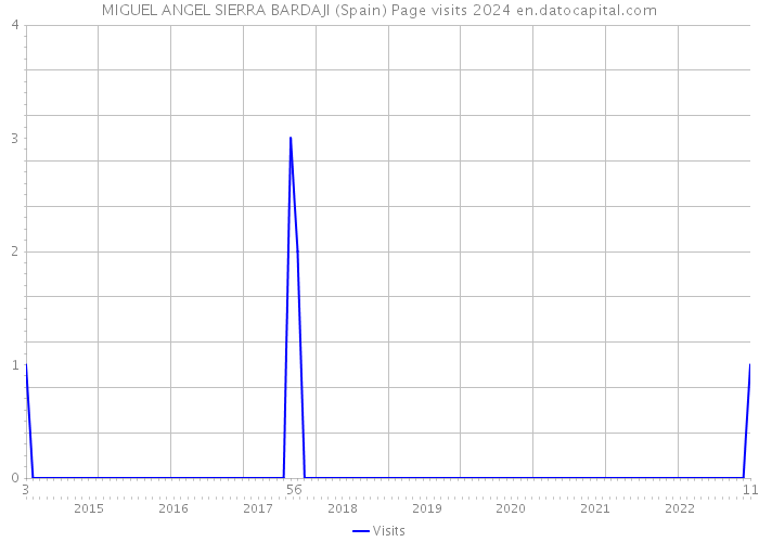 MIGUEL ANGEL SIERRA BARDAJI (Spain) Page visits 2024 