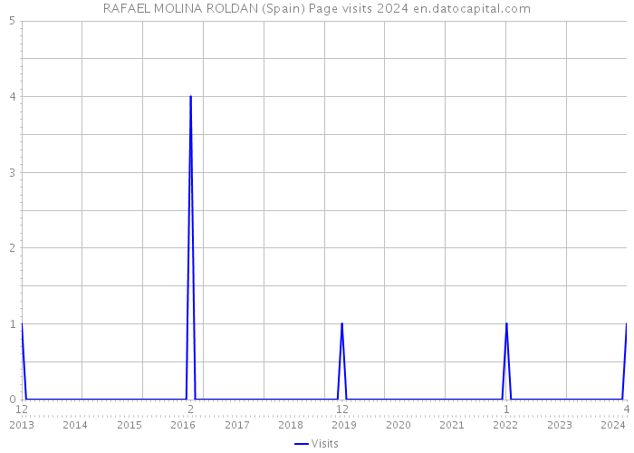RAFAEL MOLINA ROLDAN (Spain) Page visits 2024 