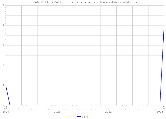 RICARDO PUIG VALLES (Spain) Page visits 2024 