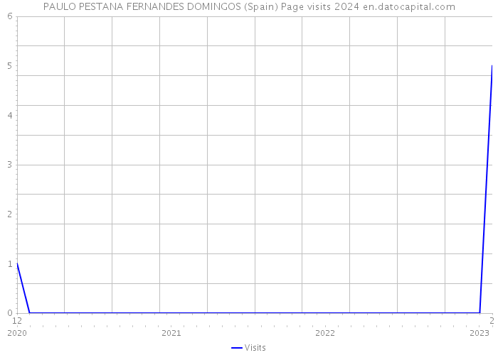 PAULO PESTANA FERNANDES DOMINGOS (Spain) Page visits 2024 