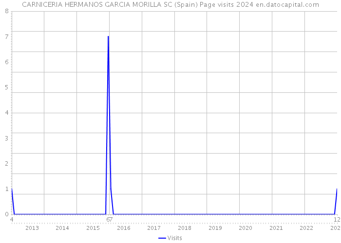 CARNICERIA HERMANOS GARCIA MORILLA SC (Spain) Page visits 2024 