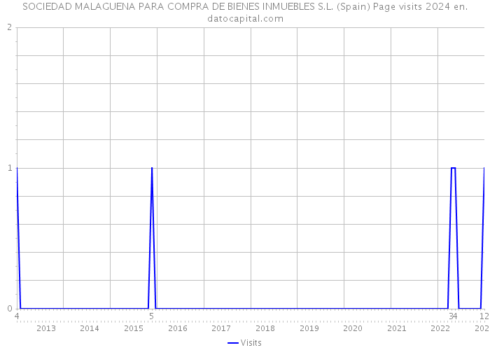 SOCIEDAD MALAGUENA PARA COMPRA DE BIENES INMUEBLES S.L. (Spain) Page visits 2024 