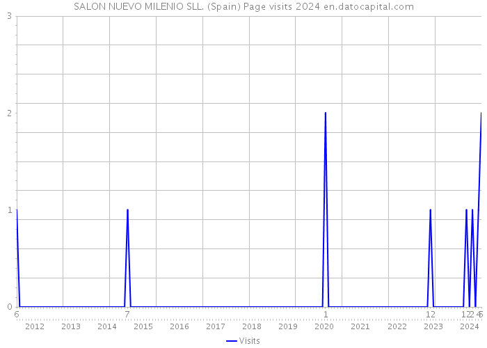 SALON NUEVO MILENIO SLL. (Spain) Page visits 2024 