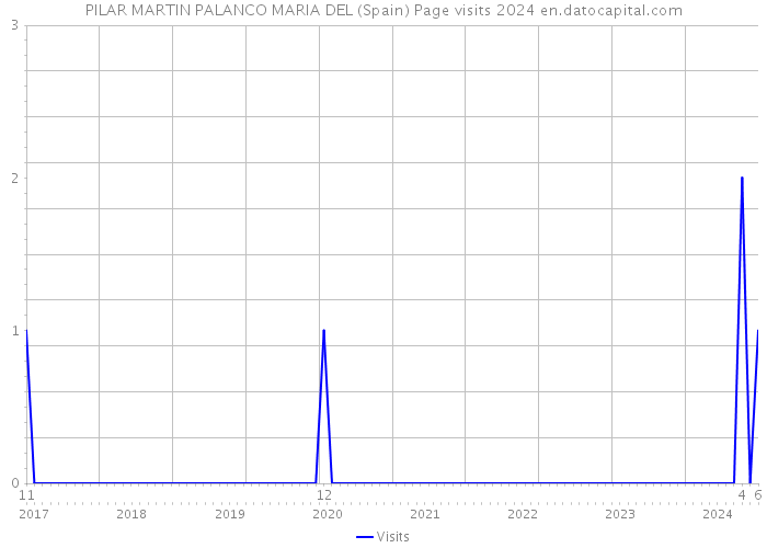 PILAR MARTIN PALANCO MARIA DEL (Spain) Page visits 2024 