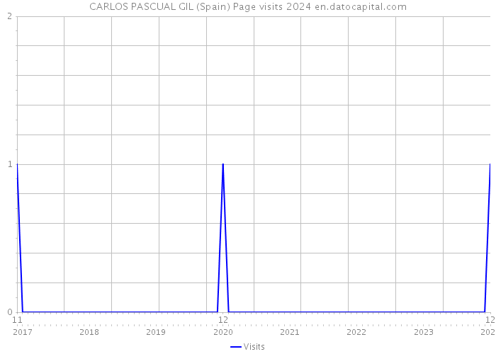 CARLOS PASCUAL GIL (Spain) Page visits 2024 