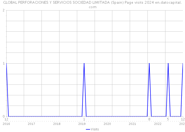 GLOBAL PERFORACIONES Y SERVICIOS SOCIEDAD LIMITADA (Spain) Page visits 2024 