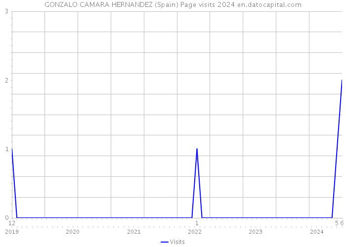 GONZALO CAMARA HERNANDEZ (Spain) Page visits 2024 