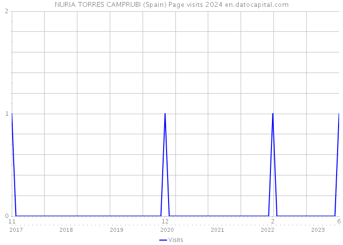 NURIA TORRES CAMPRUBI (Spain) Page visits 2024 