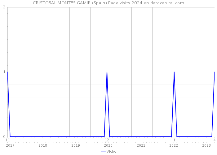 CRISTOBAL MONTES GAMIR (Spain) Page visits 2024 