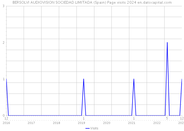BERSOLVI AUDIOVISION SOCIEDAD LIMITADA (Spain) Page visits 2024 