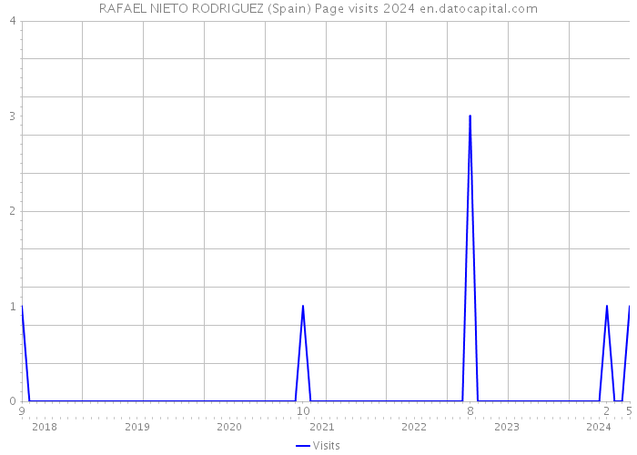 RAFAEL NIETO RODRIGUEZ (Spain) Page visits 2024 