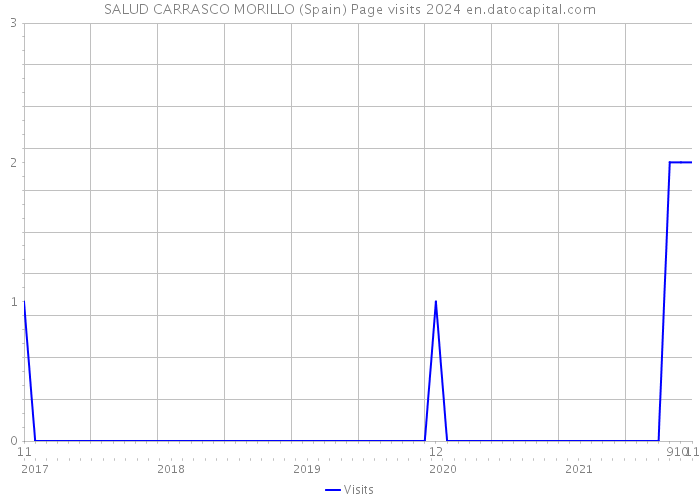 SALUD CARRASCO MORILLO (Spain) Page visits 2024 