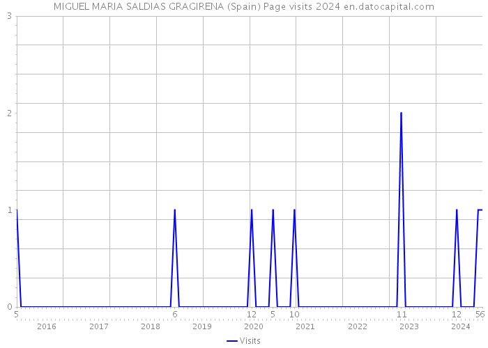 MIGUEL MARIA SALDIAS GRAGIRENA (Spain) Page visits 2024 