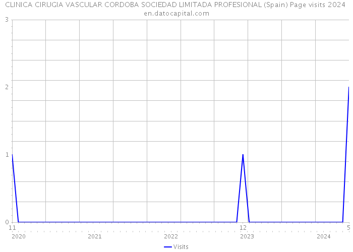 CLINICA CIRUGIA VASCULAR CORDOBA SOCIEDAD LIMITADA PROFESIONAL (Spain) Page visits 2024 