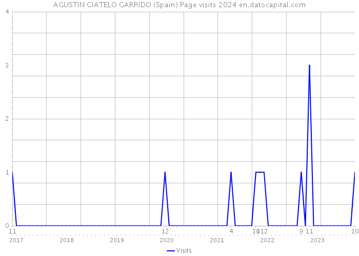 AGUSTIN CIATELO GARRIDO (Spain) Page visits 2024 